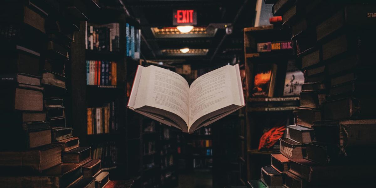 OPNsense 的 Unbound 使用代理进行递归查询(无DNS泄露)