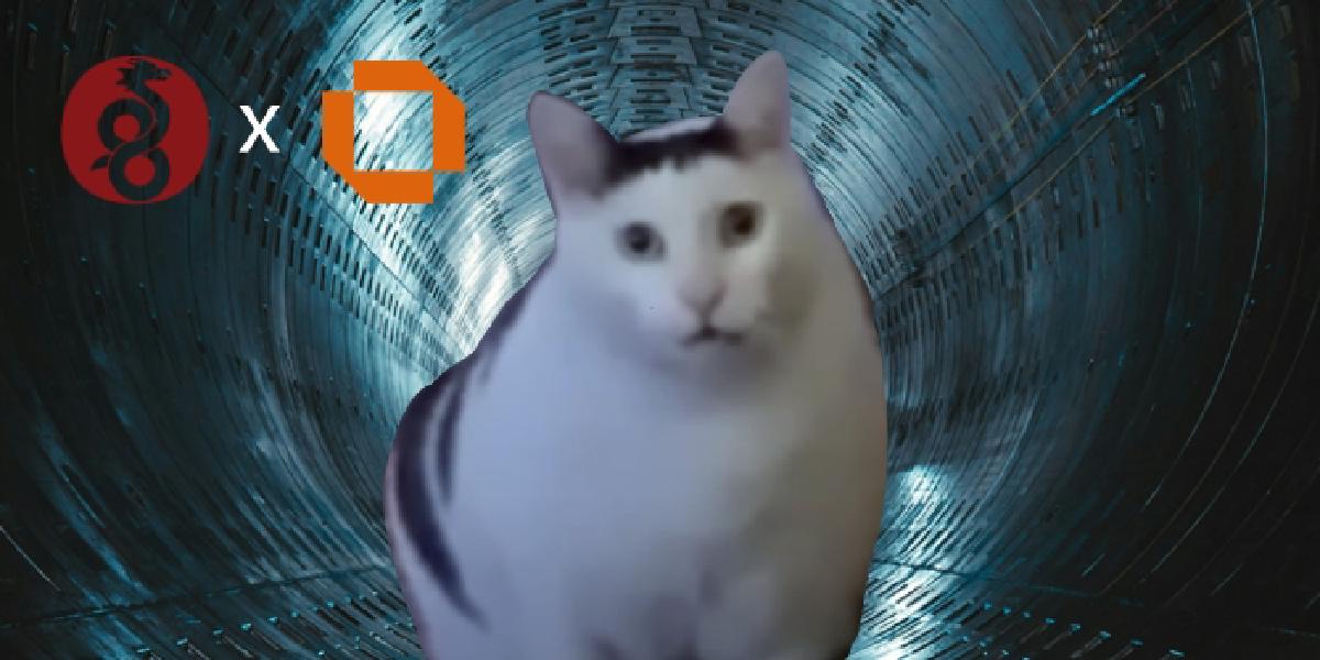 使用 WireGuard 在 OPNsense 实现透明代理(进阶)