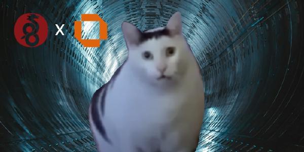 使用 WireGuard 在 OPNsense 实现透明代理(进阶)